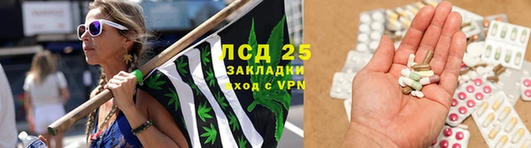 дурь Алзамай